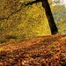 Herfst 2