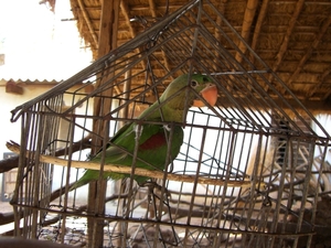 File_081