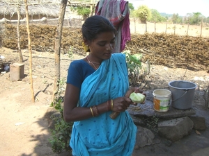 File_232