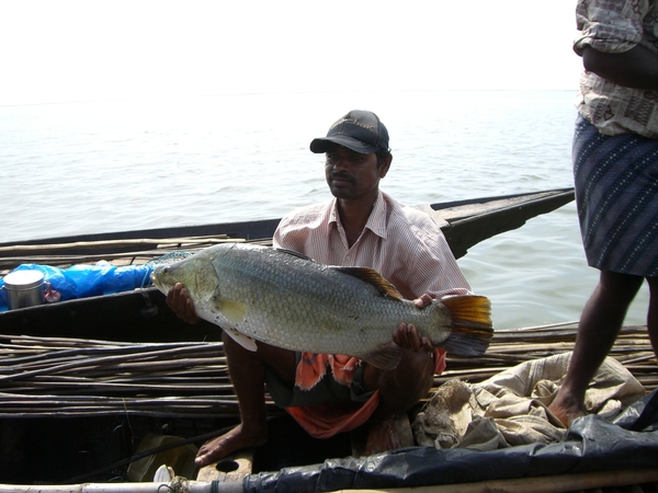 File_084