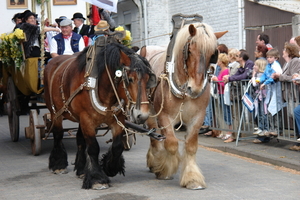 elsengem67