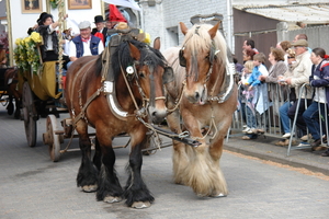 elsengem68