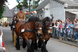 elsengem72