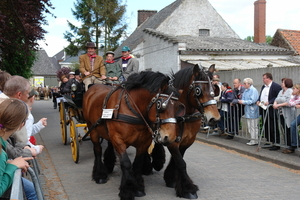 elsengem73