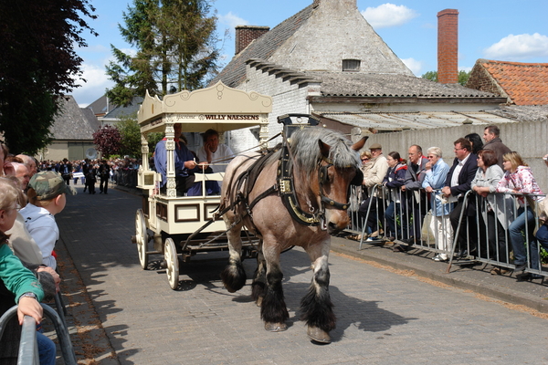 elsengem137