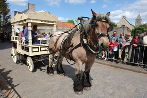 elsengem140