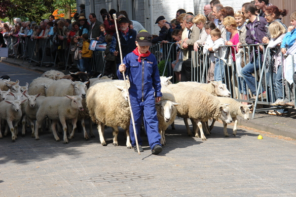 elsengem144