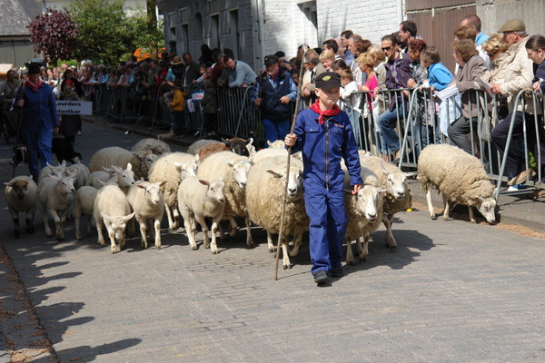 elsengem145