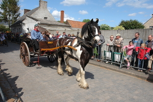 elsengem174