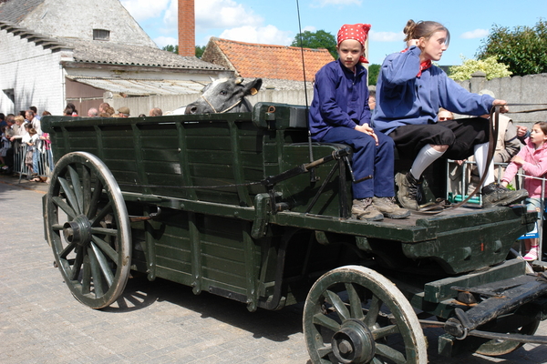 elsengem185