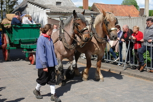 elsengem215