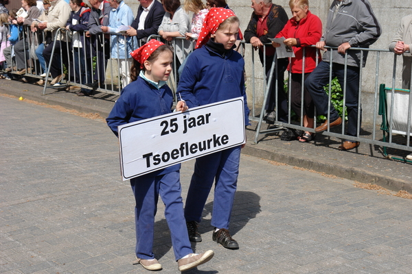 elsengem233