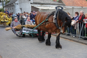 elsengem239