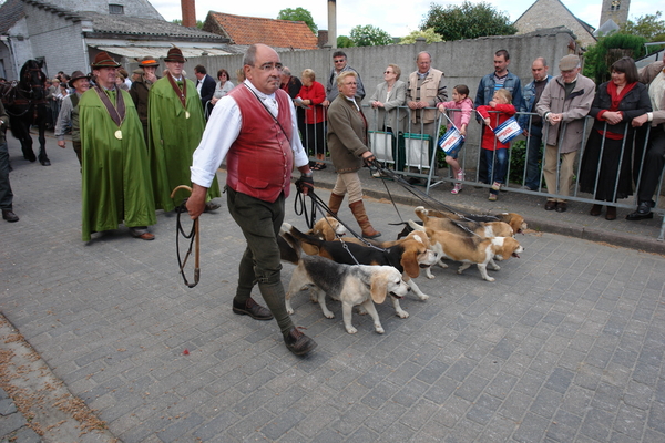 elsengem251