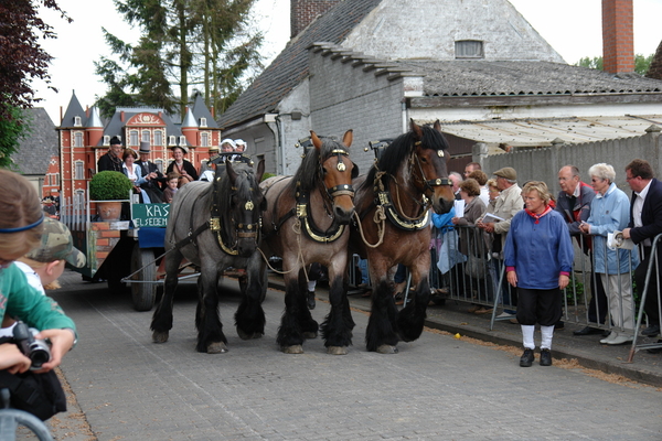 elsengem305