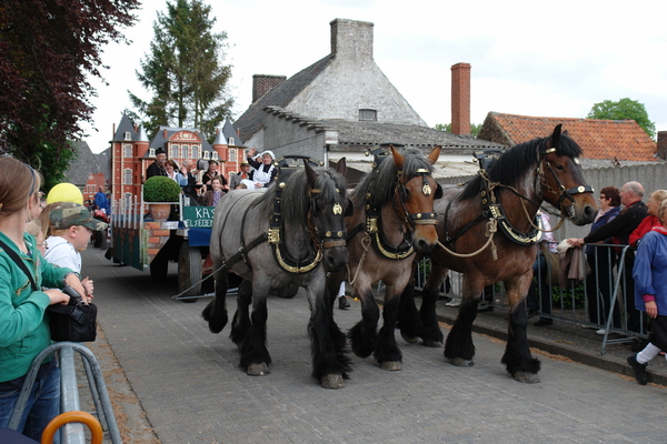 elsengem306