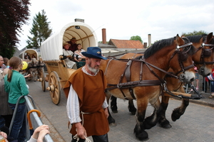 elsengem323