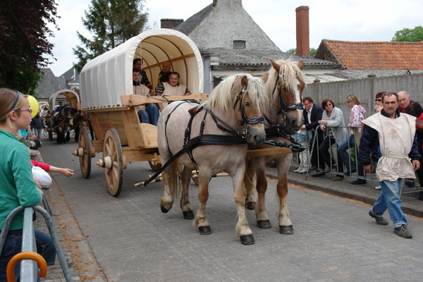 elsengem325