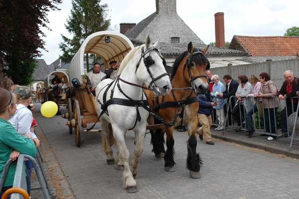 elsengem326