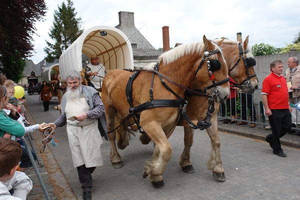 elsengem329