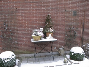 januari 2009-4