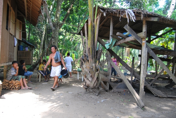 Dipolog 7