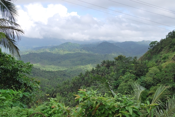88 Hotspring Resort  - Laguna