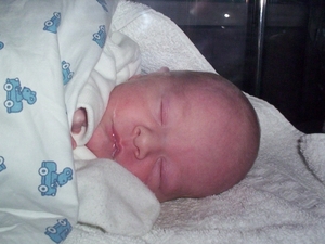 Kopie (2) van cynan 005