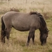 PA150325