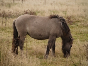 PA150325