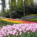 keukenhof  27.04.2009 013