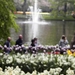 keukenhof  27.04.2009 018
