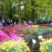 keukenhof  27.04.2009 020