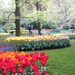 keukenhof  27.04.2009 022
