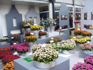 keukenhof  27.04.2009 044