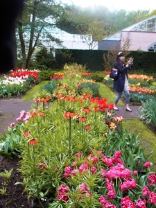 keukenhof  27.04.2009 049
