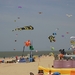 oost 10-5-2009 (13)