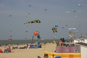 oost 10-5-2009 (13)