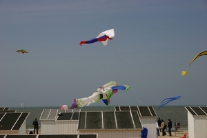 oost 10-5-2009 (15)