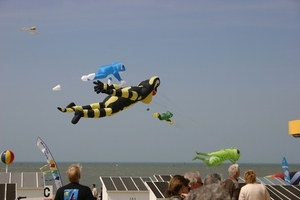 oost 10-5-2009 (17)