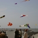 oost 10-5-2009 (18)