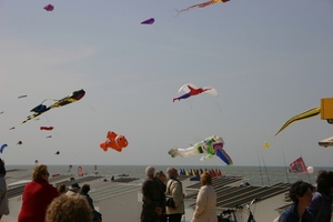 oost 10-5-2009 (18)