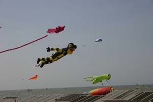 oost 10-5-2009 (22)