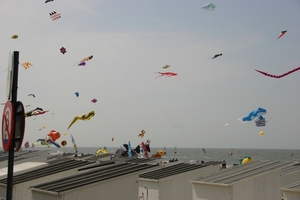 oost 10-5-2009 (23)