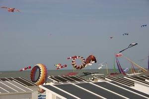oost 10-5-2009 (24)
