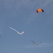 oost 10-5-2009 (26)