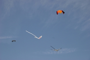 oost 10-5-2009 (26)