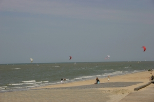 oost 10-5-2009 (3)