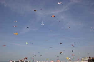 oost 10-5-2009 (30)