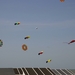 oost 10-5-2009 (31)